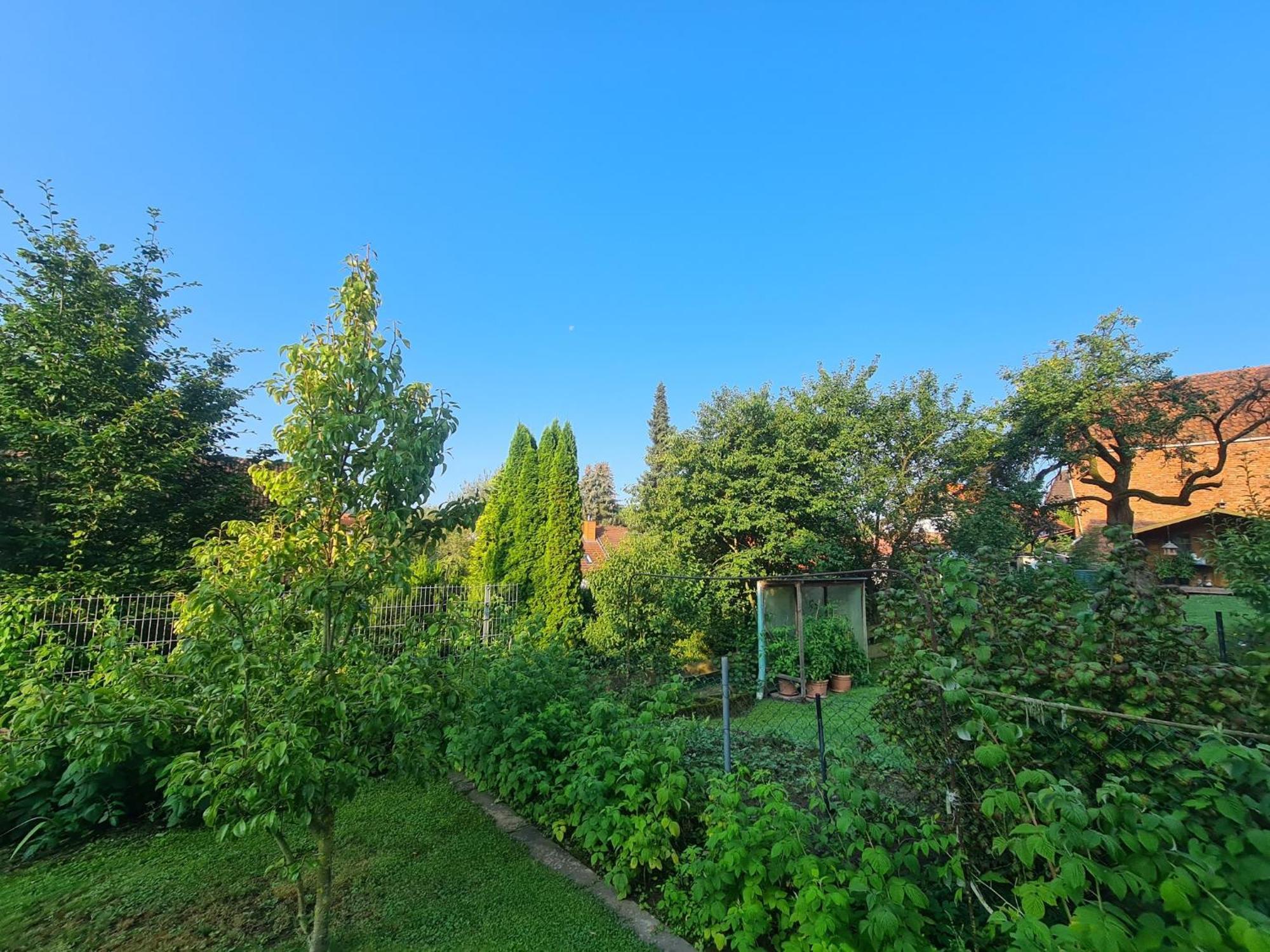 Suedharzperle Apartment Bad Lauterberg Bagian luar foto