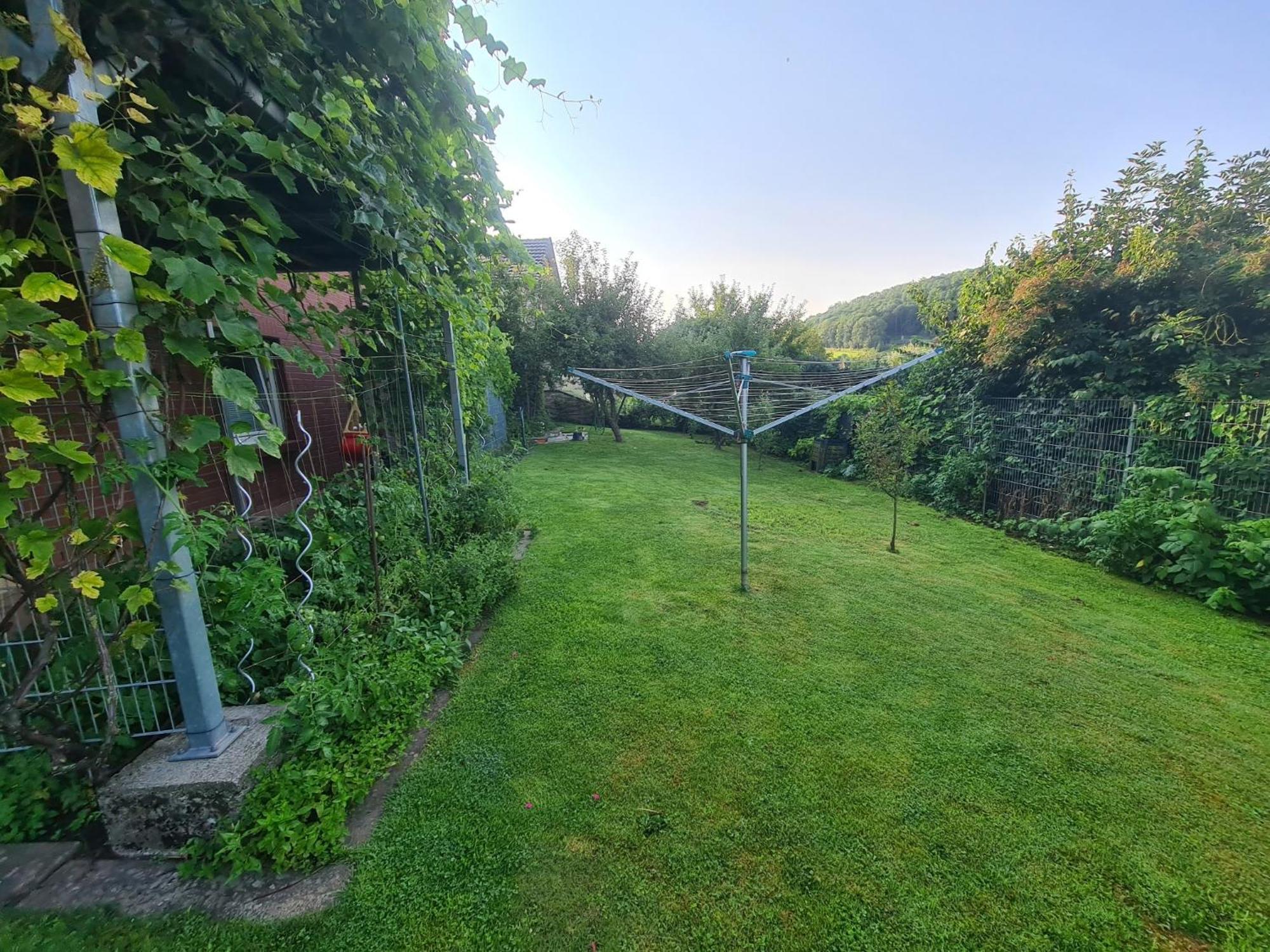 Suedharzperle Apartment Bad Lauterberg Bagian luar foto