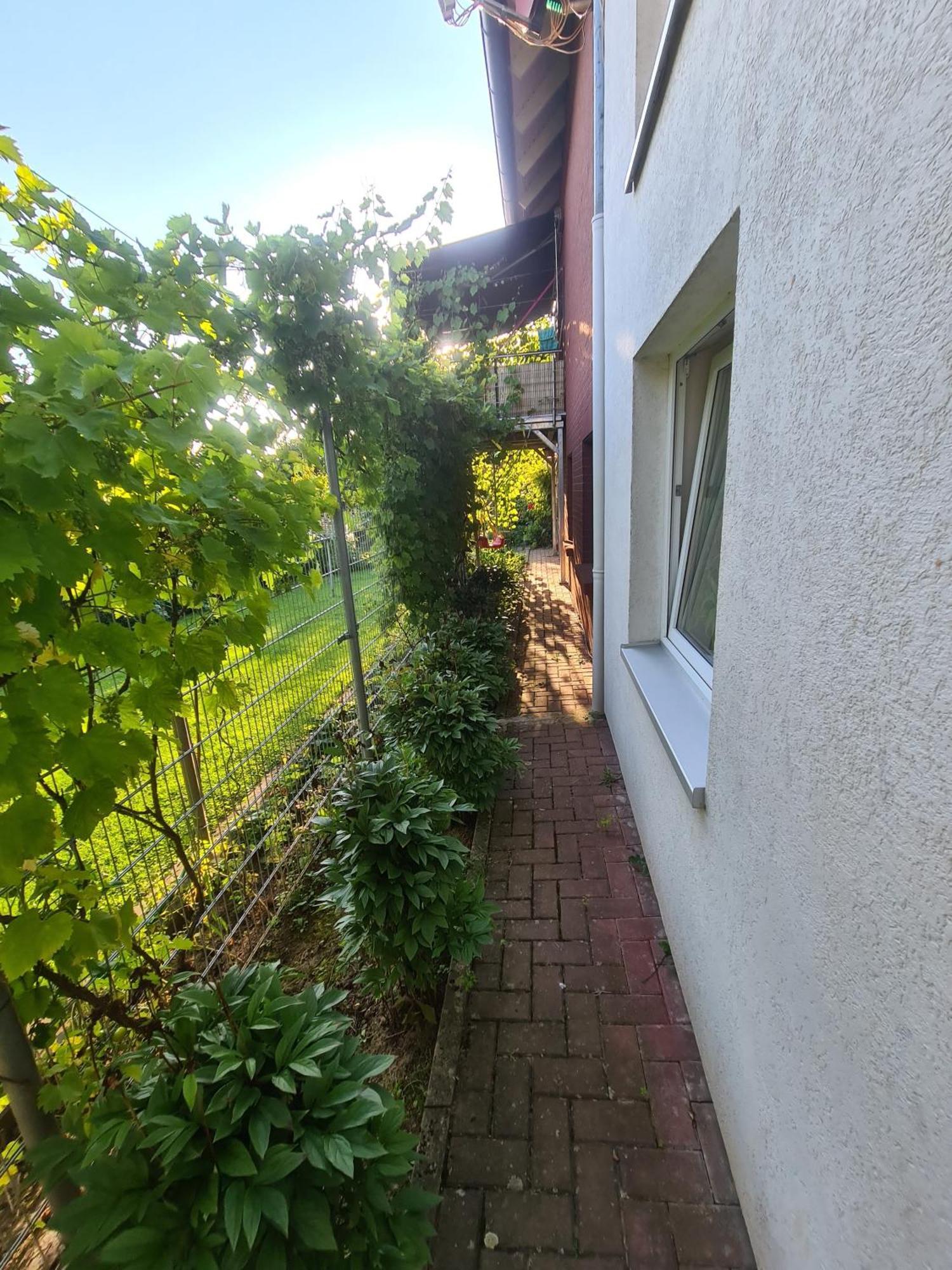 Suedharzperle Apartment Bad Lauterberg Bagian luar foto